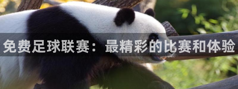 免费足球联赛：最精彩的比赛和体验
