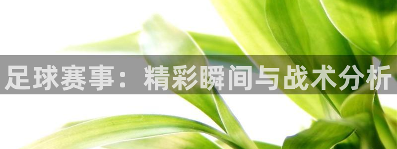 足球赛事：精彩瞬间与战术分析