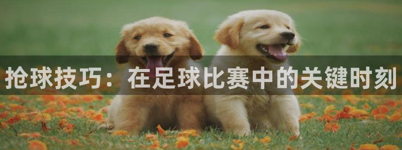 抢球技巧：在足球比赛中的关键时刻