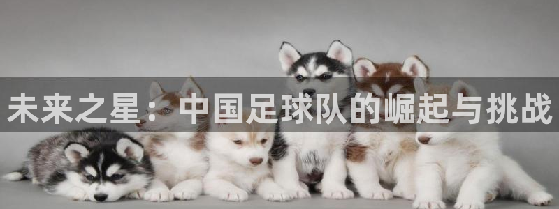 未来之星：中国足球队的崛起与挑战