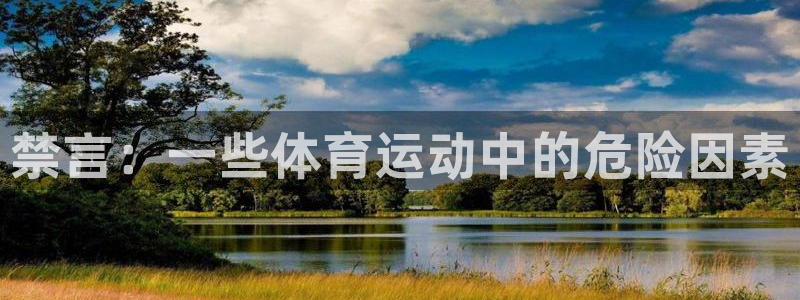 禁言：一些体育运动中的危险因素