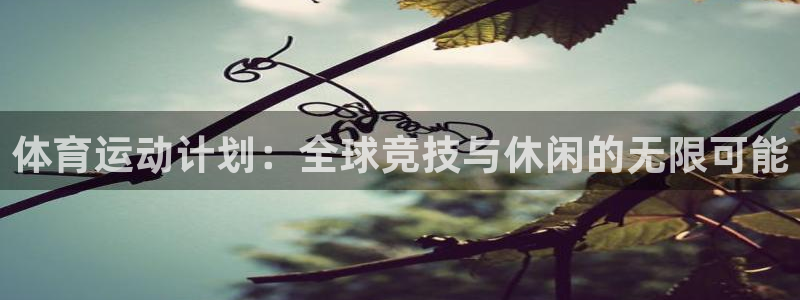 体育运动计划：全球竞技与休闲的无限可能