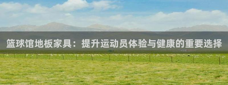 篮球馆地板家具：提升运动员体验与健康的重要选择