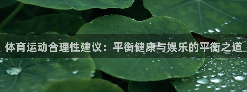 体育运动合理性建议：平衡健康与娱乐的平衡之道