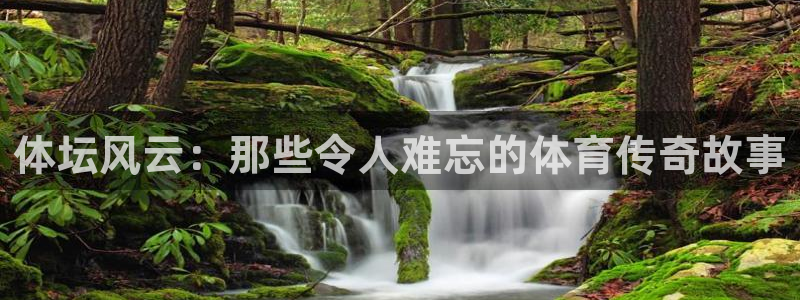 体坛风云：那些令人难忘的体育传奇故事