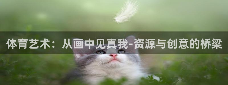 体育艺术：从画中见真我-资源与创意的桥梁