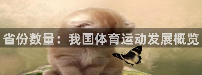 省份数量：我国体育运动发展概览