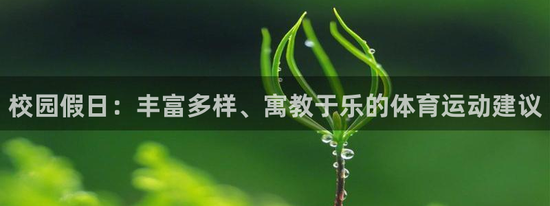 校园假日：丰富多样、寓教于乐的体育运动建议