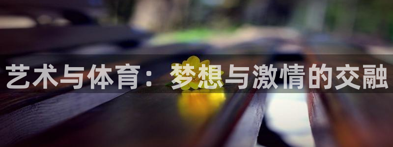 艺术与体育：梦想与激情的交融