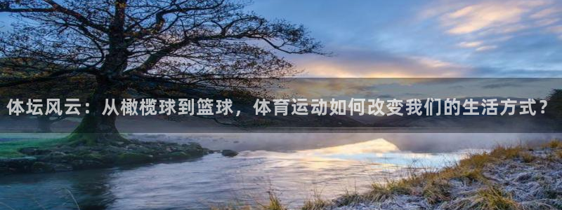 体坛风云：从橄榄球到篮球，体育运动如何改变我们的生活方式？
