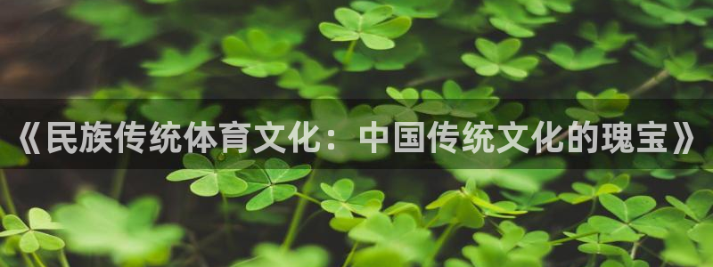 《民族传统体育文化：中国传统文化的瑰宝》