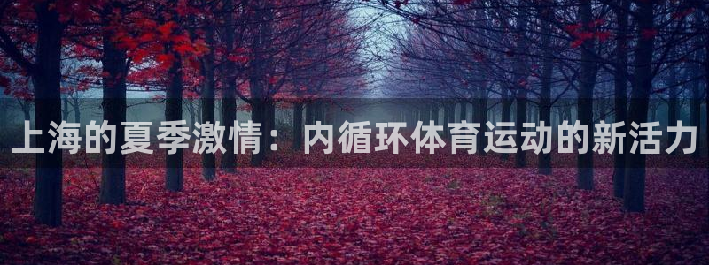 上海的夏季激情：内循环体育运动的新活力