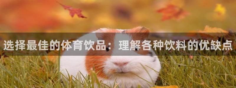 选择最佳的体育饮品：理解各种饮料的优缺点