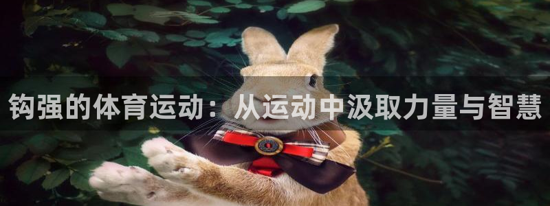 钩强的体育运动：从运动中汲取力量与智慧