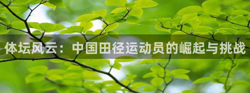 体坛风云：中国田径运动员的崛起与挑战