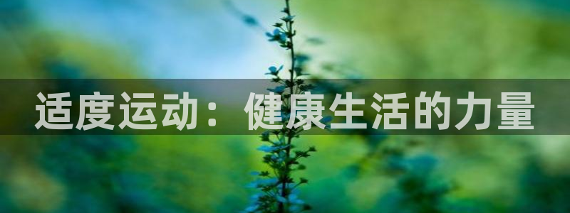 适度运动：健康生活的力量