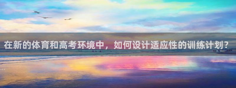 在新的体育和高考环境中，如何设计适应性的训练计划？