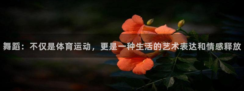 舞蹈：不仅是体育运动，更是一种生活的艺术表达和情感释放