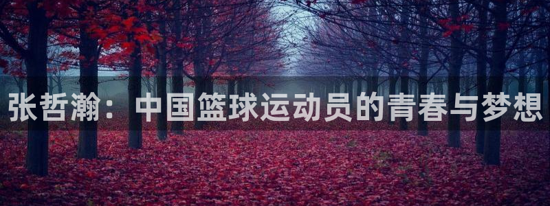 张哲瀚：中国篮球运动员的青春与梦想