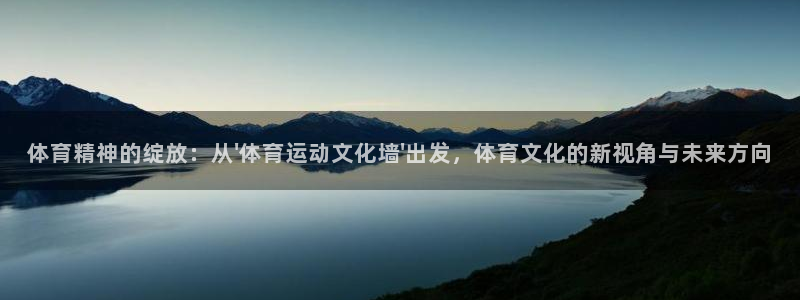 体育精神的绽放：从\'体育运动文化墙\'出发，体育文化的新视角与未来方向
