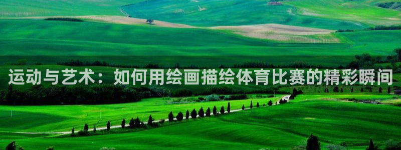 运动与艺术：如何用绘画描绘体育比赛的精彩瞬间