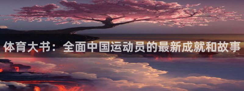 体育大书：全面中国运动员的最新成就和故事