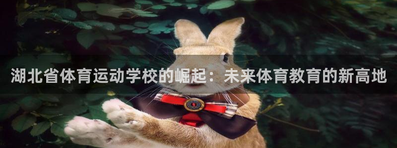 湖北省体育运动学校的崛起：未来体育教育的新高地