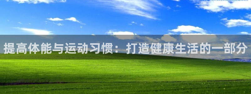提高体能与运动习惯：打造健康生活的一部分